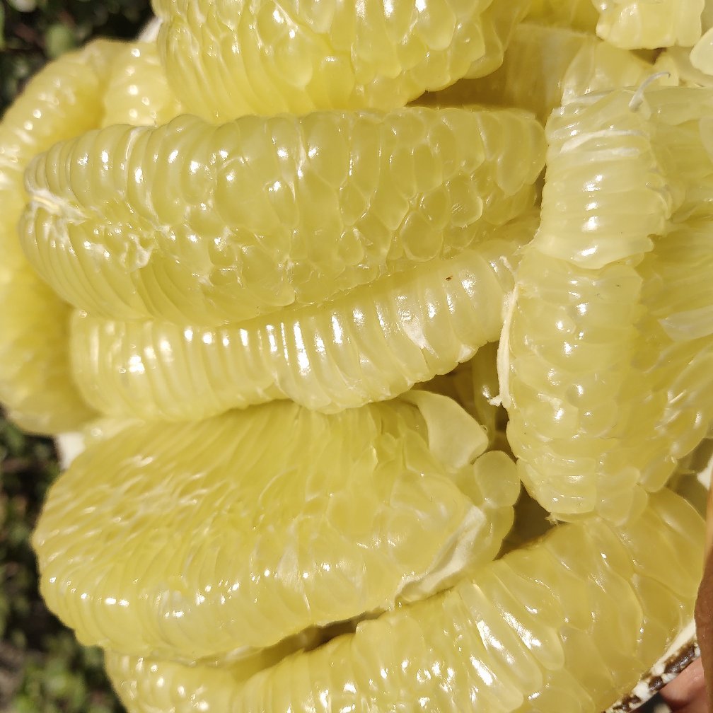 泰国青柚进口柚蜂蜜柚青皮白心柚大果皮薄脆甜多汁包邮