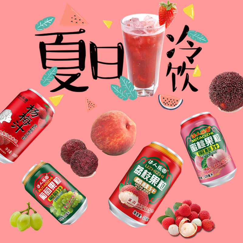 达人乐园果肉果汁320ml*12罐浓缩