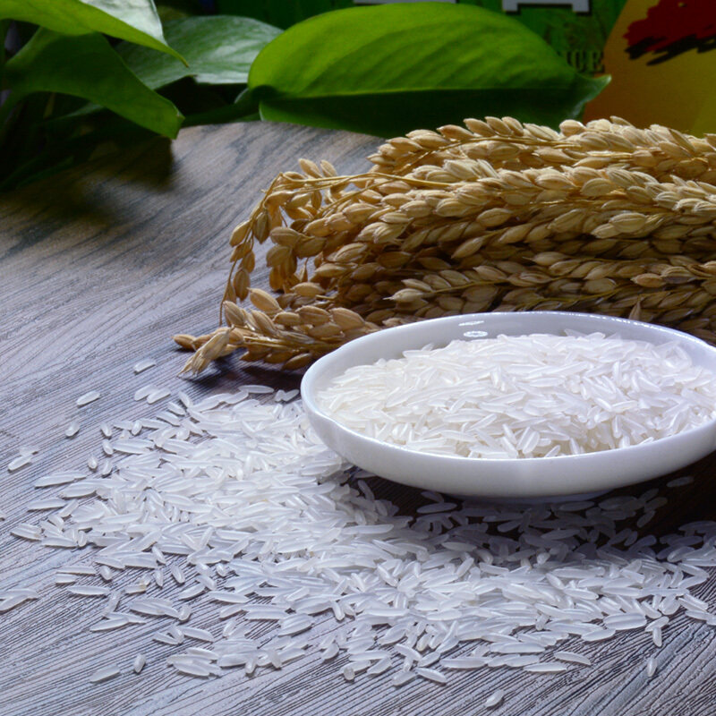 挂绿增城苗王25kg丝苗米大米5斤油粘米优质籼米大米