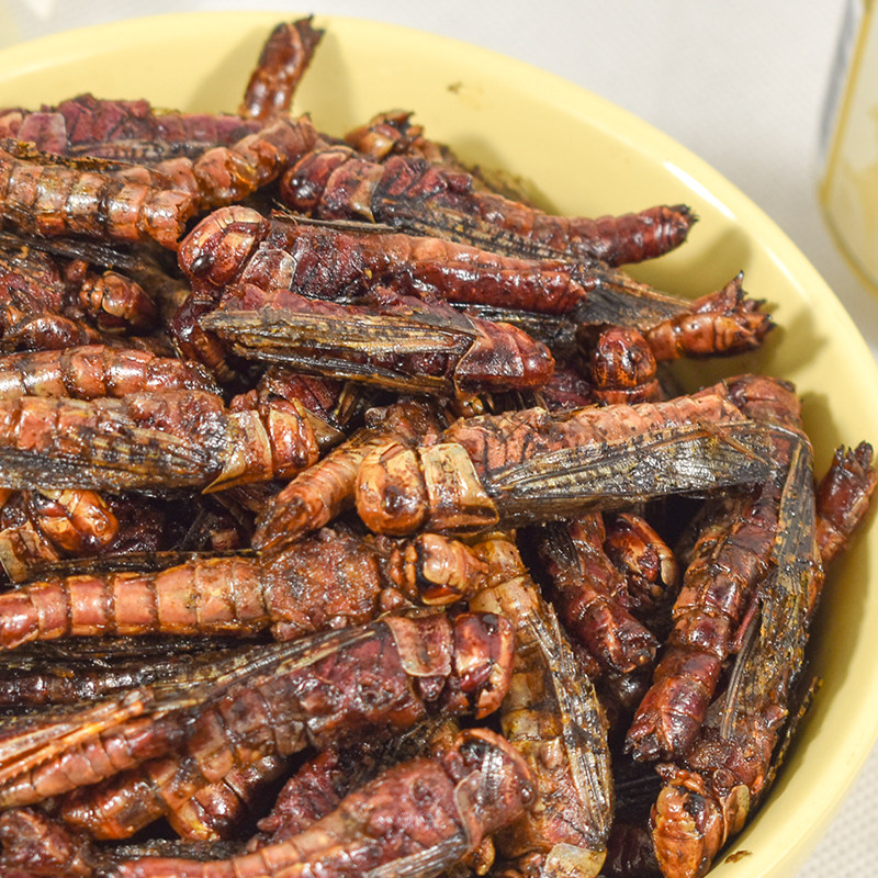 酒菜香辣孜然可食用蝗虫烧烤香酥下酒蚂蚱带翅其它生肉制品