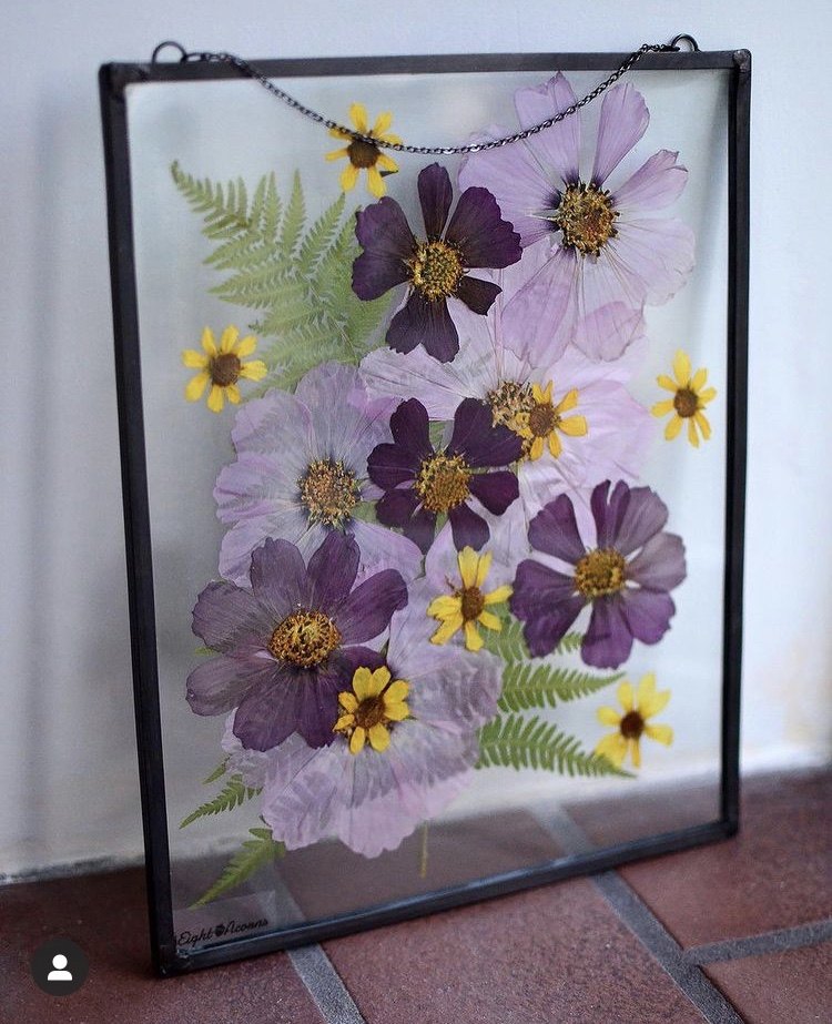 格桑花波斯菊真干花压花植物标本diy台灯相框干花