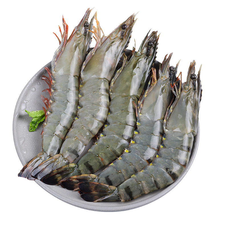 虎虾九节青虾海虾虾冻大斑节鲜冻冷冻特大超大冻虾