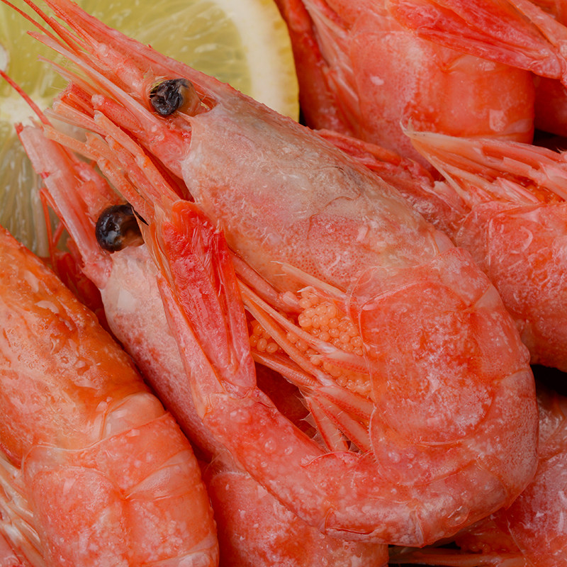 北极甜虾加拿大虾甜虾刺新鲜特大号海虾即食北极熊冻虾