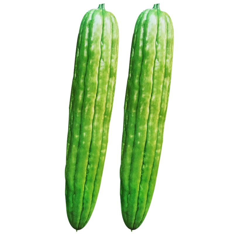 翠竹苦瓜种籽油绿大肉绿长苦瓜种子春夏秋季四季庭院农家蔬菜种孑