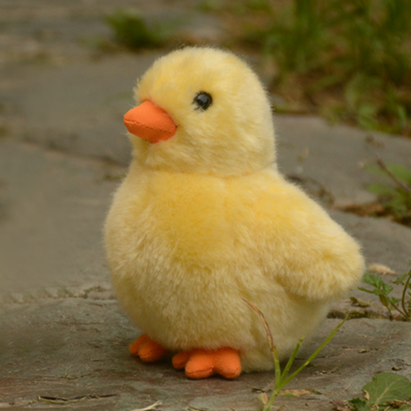 小鸡可爱毛绒玩具小黄公仔仿真布娃娃玩偶儿童生日毛绒布艺类玩具