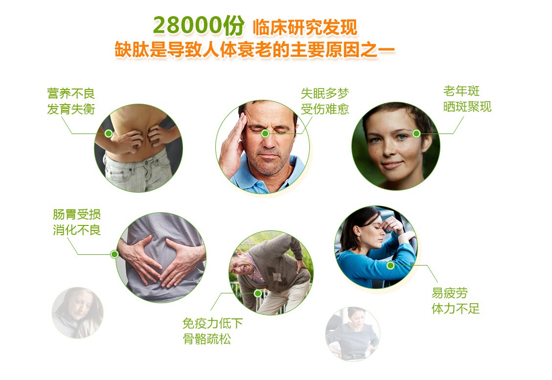 脾氨肽牛脾肽口服液冻干粉增强儿童中老年免疫力肽类