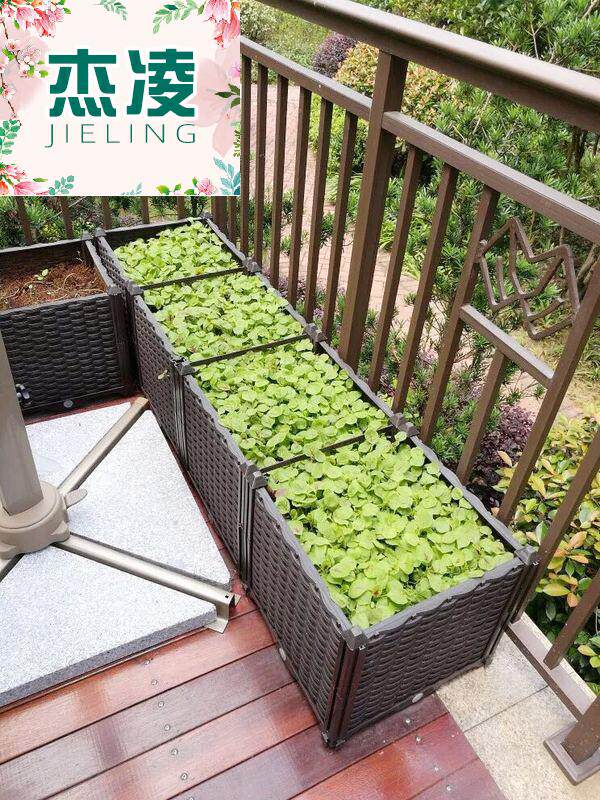 阳台蔬菜种植箱种菜花户外楼顶家庭室内菜园花盆