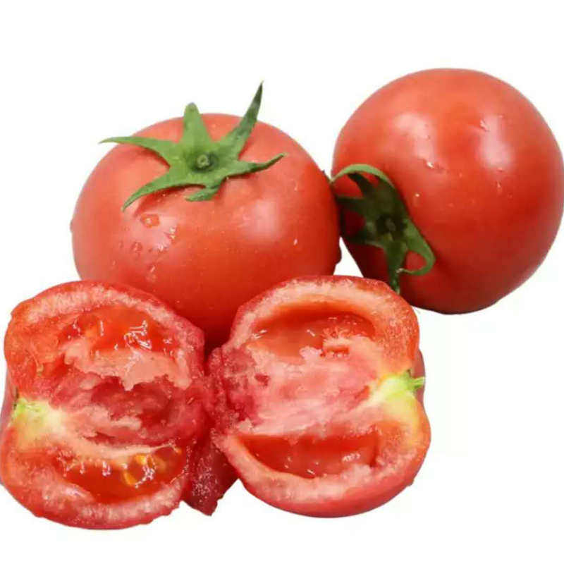 新鲜沙瓤粉果水果西红柿生吃农家肥蔬菜自然成熟番茄