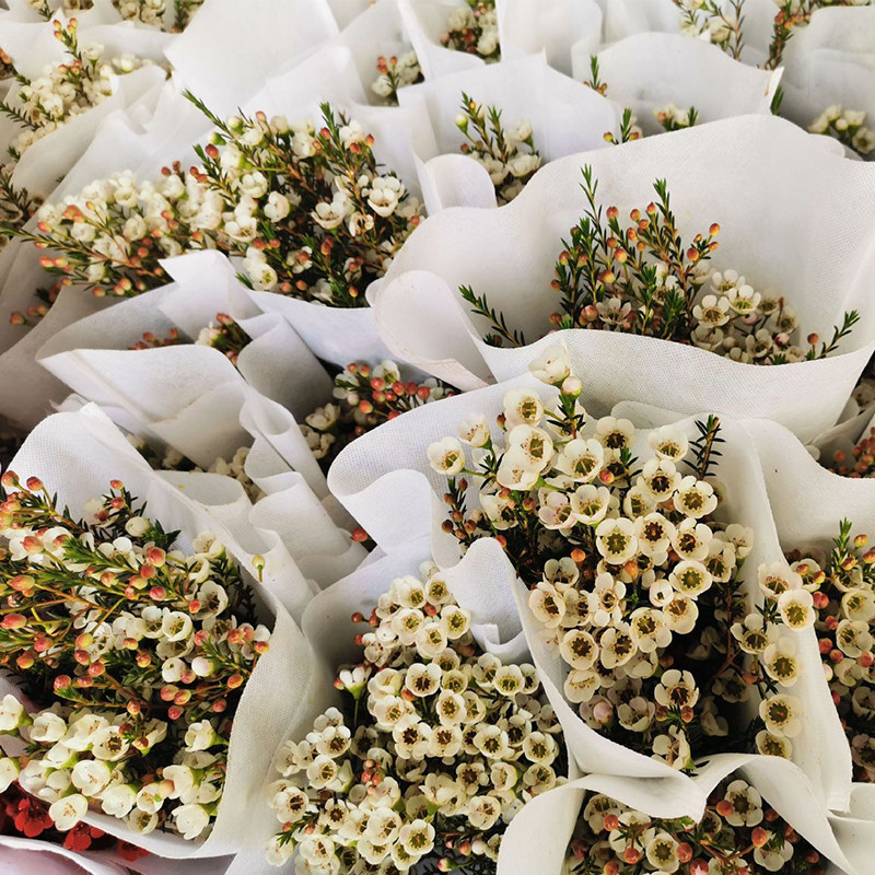 腊梅鲜花云南基地地直批发澳洲冬季季家用水鲜花速递同城