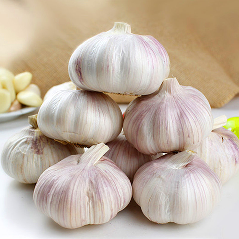 河南开封大蒜今年新挖多掰新鲜大蒜头净重4斤农家蔬菜紫皮白大蒜