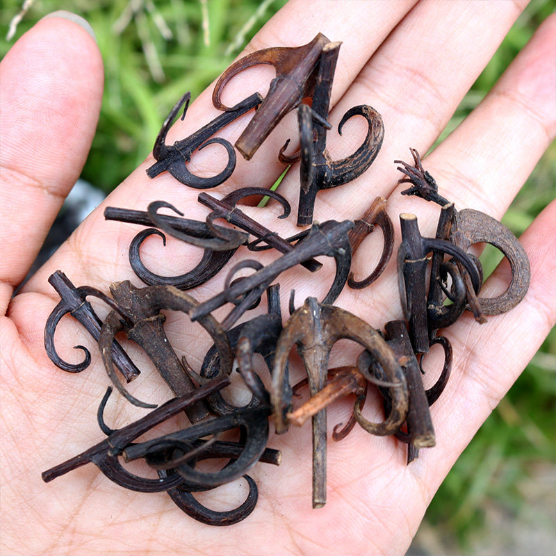 倒挂掌柜双钩勾藤吊风根含钩金钩草鹰爪风钩250g传统滋补品其他