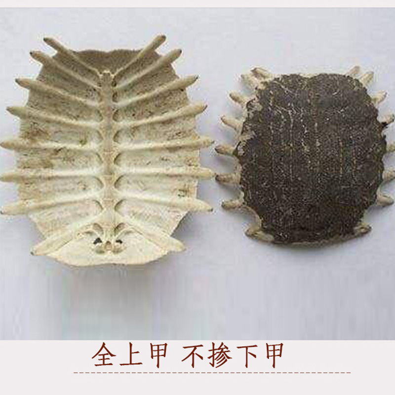 六掌柜醋鳖甲250g包邮制鳖甲甲鱼壳全上甲盖不掺下甲售鳖甲龟板