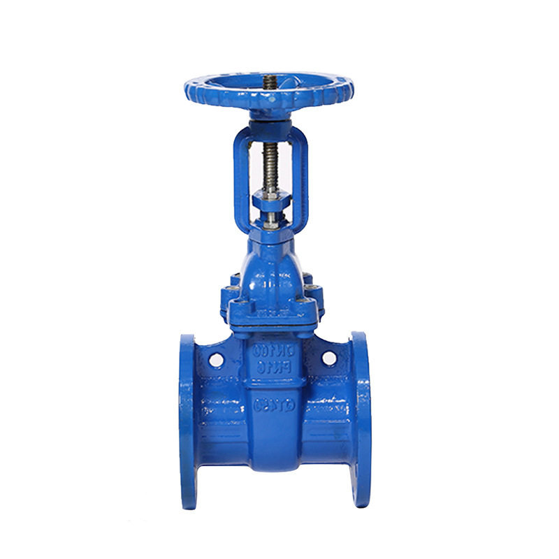 z41t16防护阀铜芯铜杆明闸阀护目镜