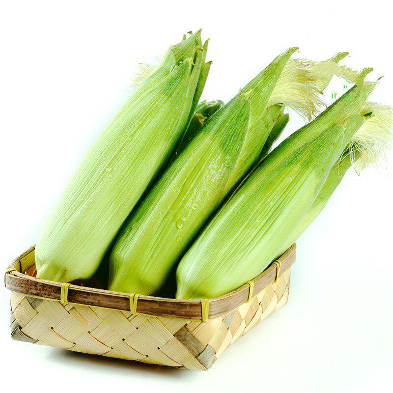 包谷白玉玉米棒带皮生玉米农家苞谷鲜嫩多汁净重新鲜玉米