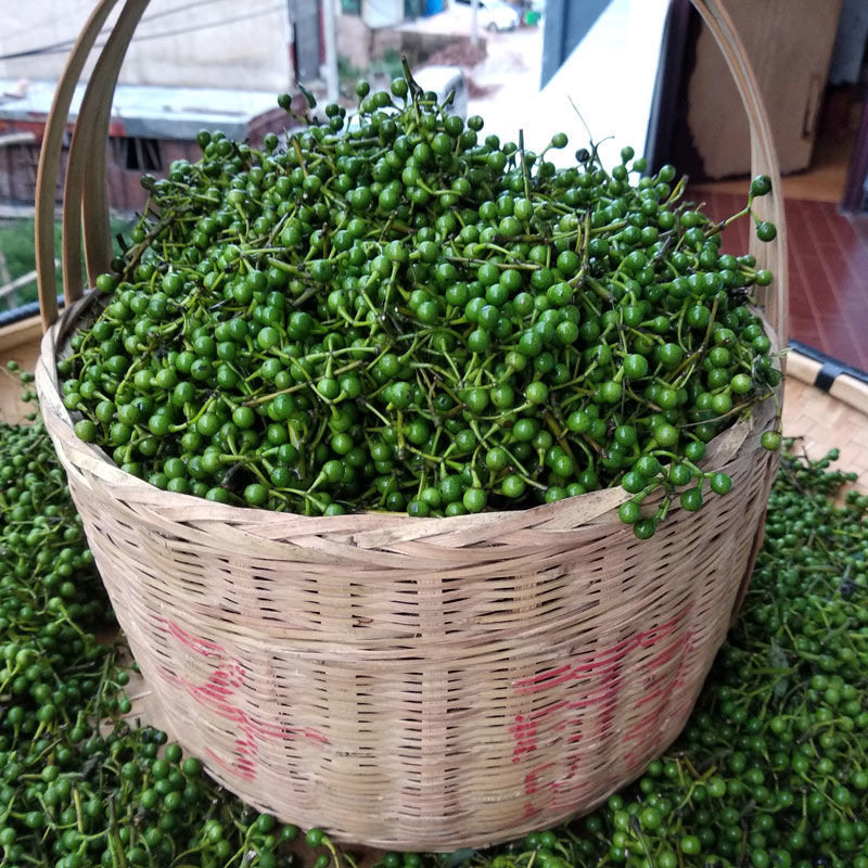 湖北恩施土特产新鲜现摘高山野生山胡椒木姜特色其它