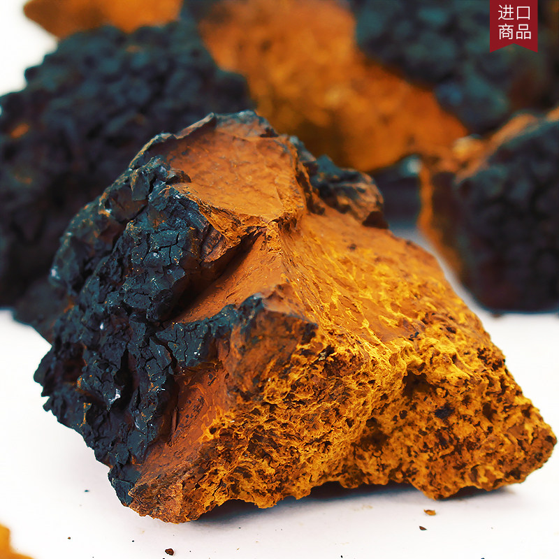 桦树俄罗斯野生白桦天然胰岛素桦褐孔菌茶高密度密度其他药食同源食品