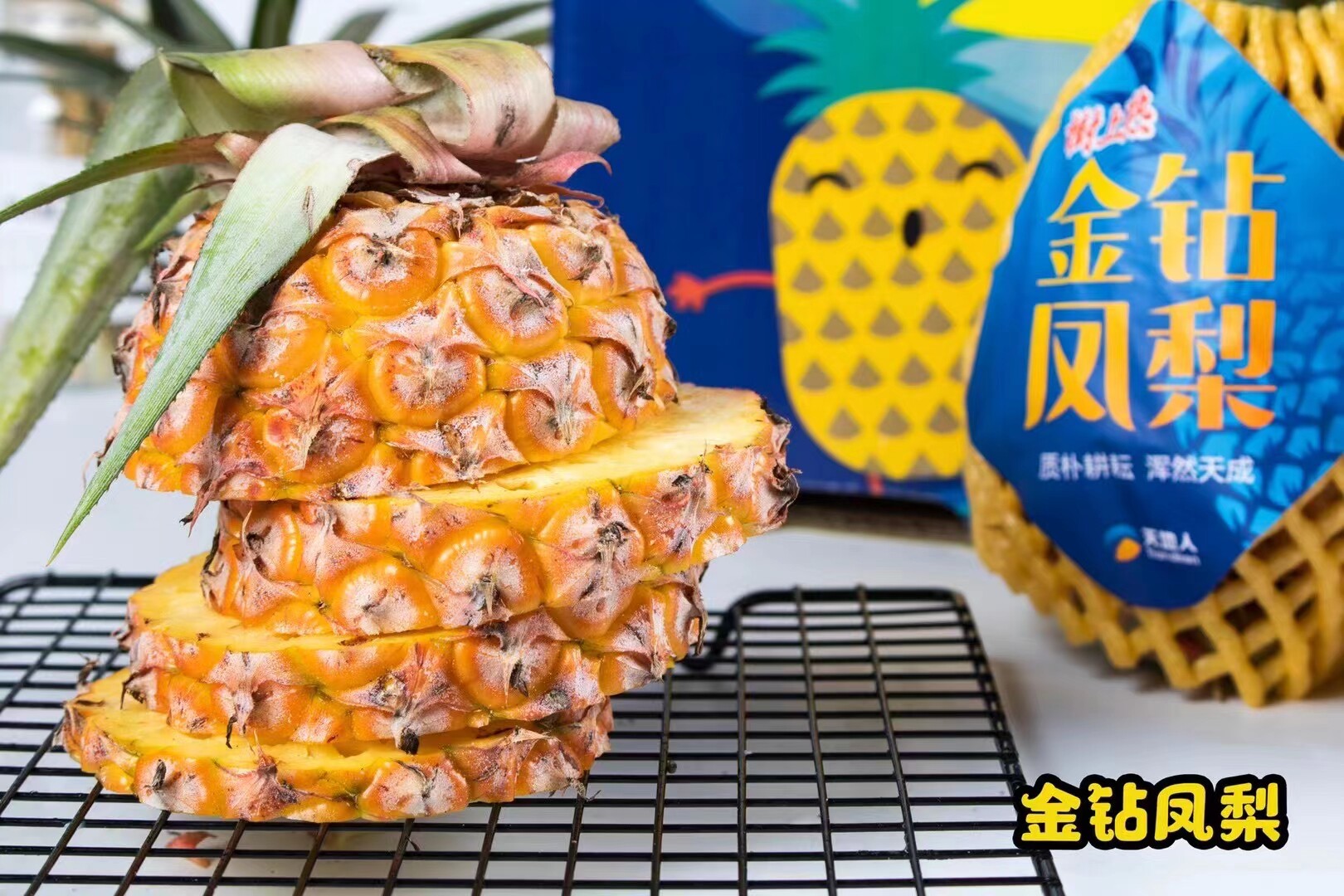 凤梨金钻海南天地人台湾进口进口品品种树上宝宝凤梨