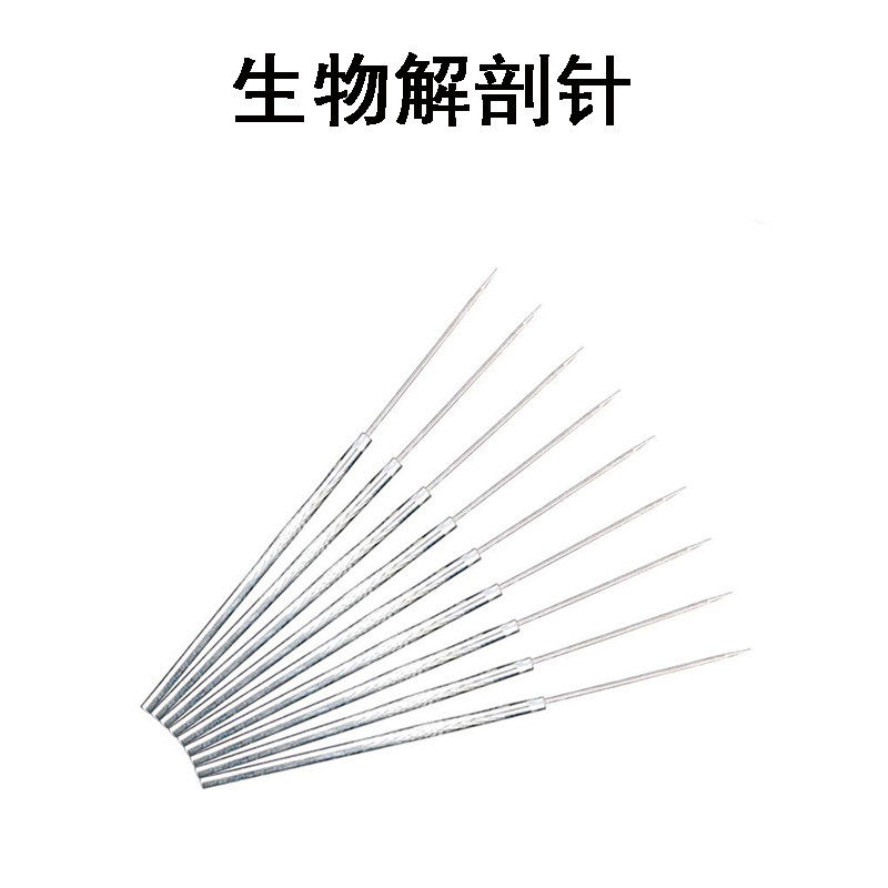 解剖生物昆虫针直中学中学生实验探针教学工具教学仪器