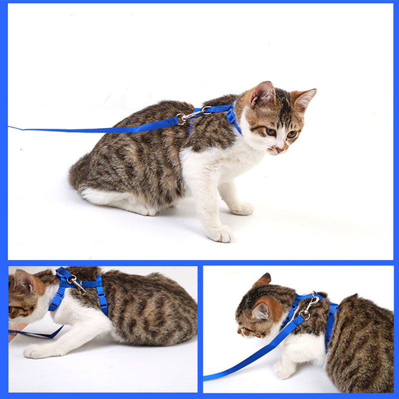 猫咪牵引绳遛绳子溜猫背带专用挣脱家用牵引带