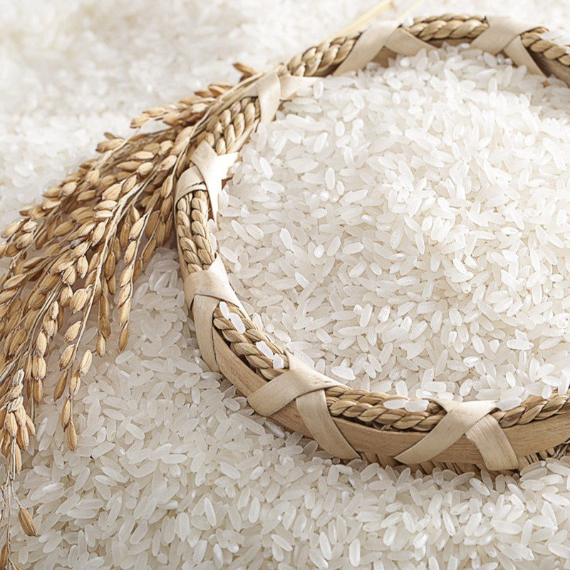 5kg大米 真空5斤长粒香籼米 新米京山桥米