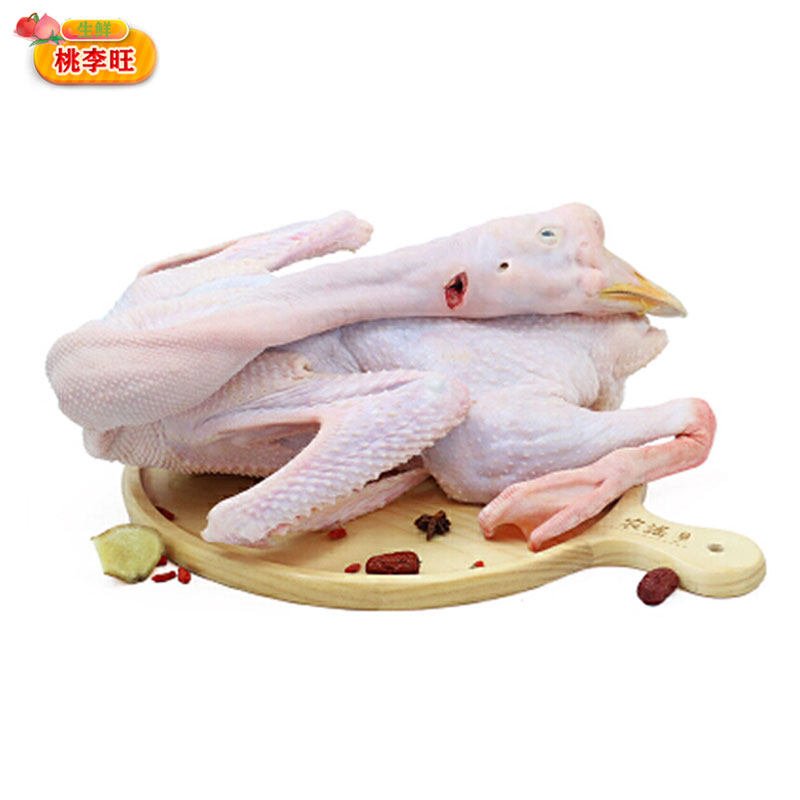 桃李旺新鲜鹅肉生鲜水库土鹅会飞的鹅现杀发货散养大鹅肉营养滋补