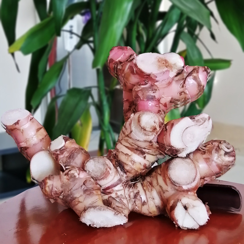 山姜头2斤湛江市特产头包邮卤水生姜新鲜南姜正宗治汗斑野生食用