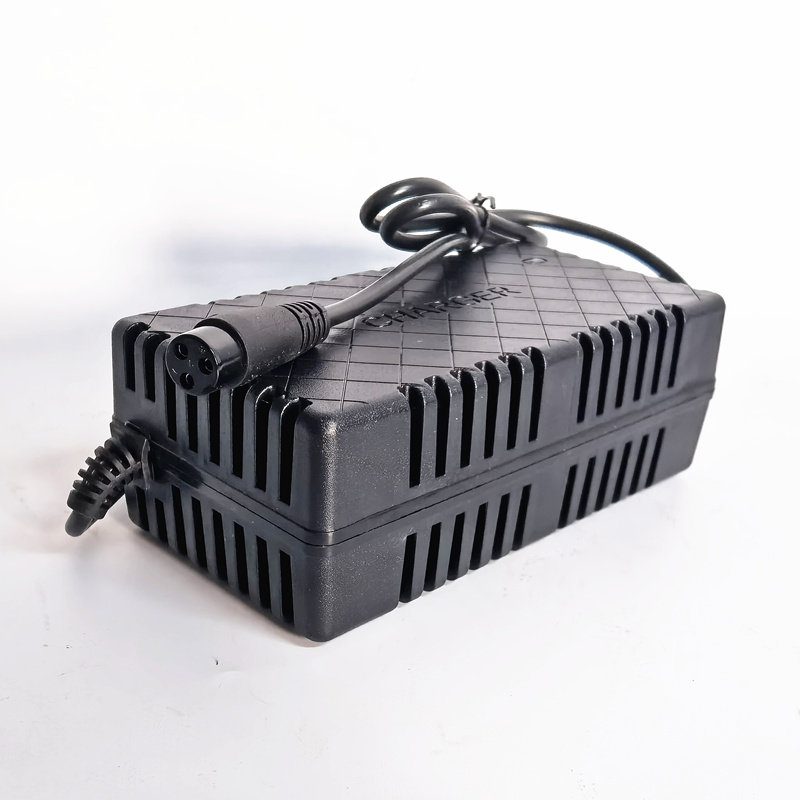 充电器小海豚电瓶车冰岚迷你电动车24v铅酸电池24伏更多电动车零