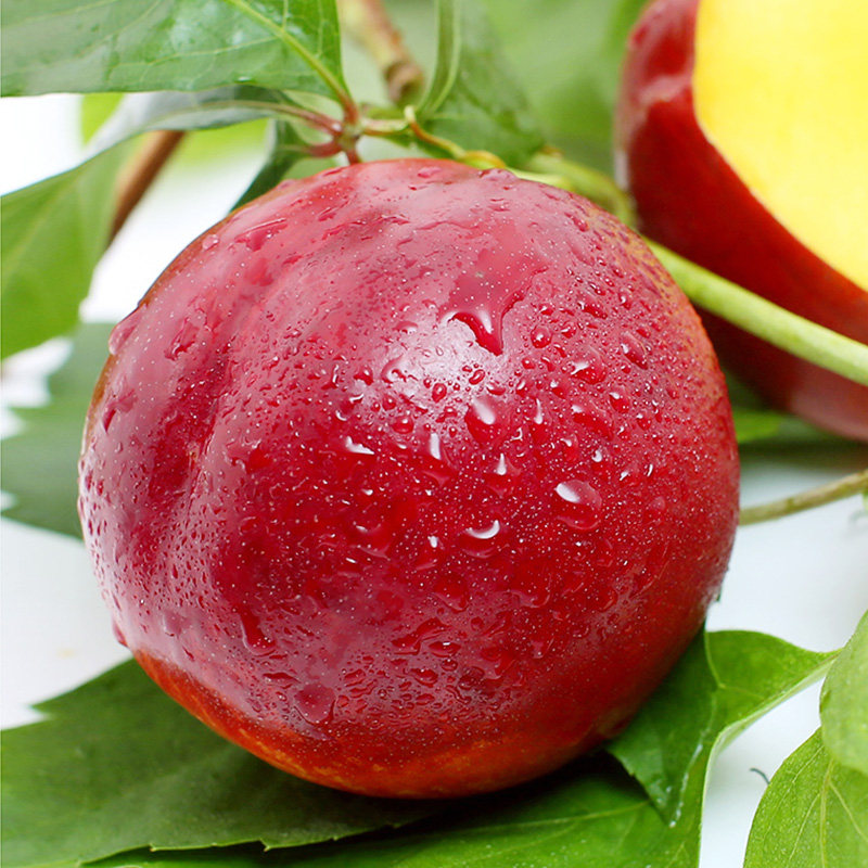 砀山特产现季油桃新鲜大果黄肉黄心5斤装大油桃水果时令现发桃子