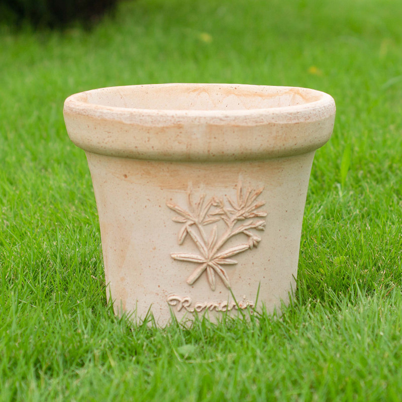 种花花王大爷罗马进口手工香草18cm方形花盆花盆