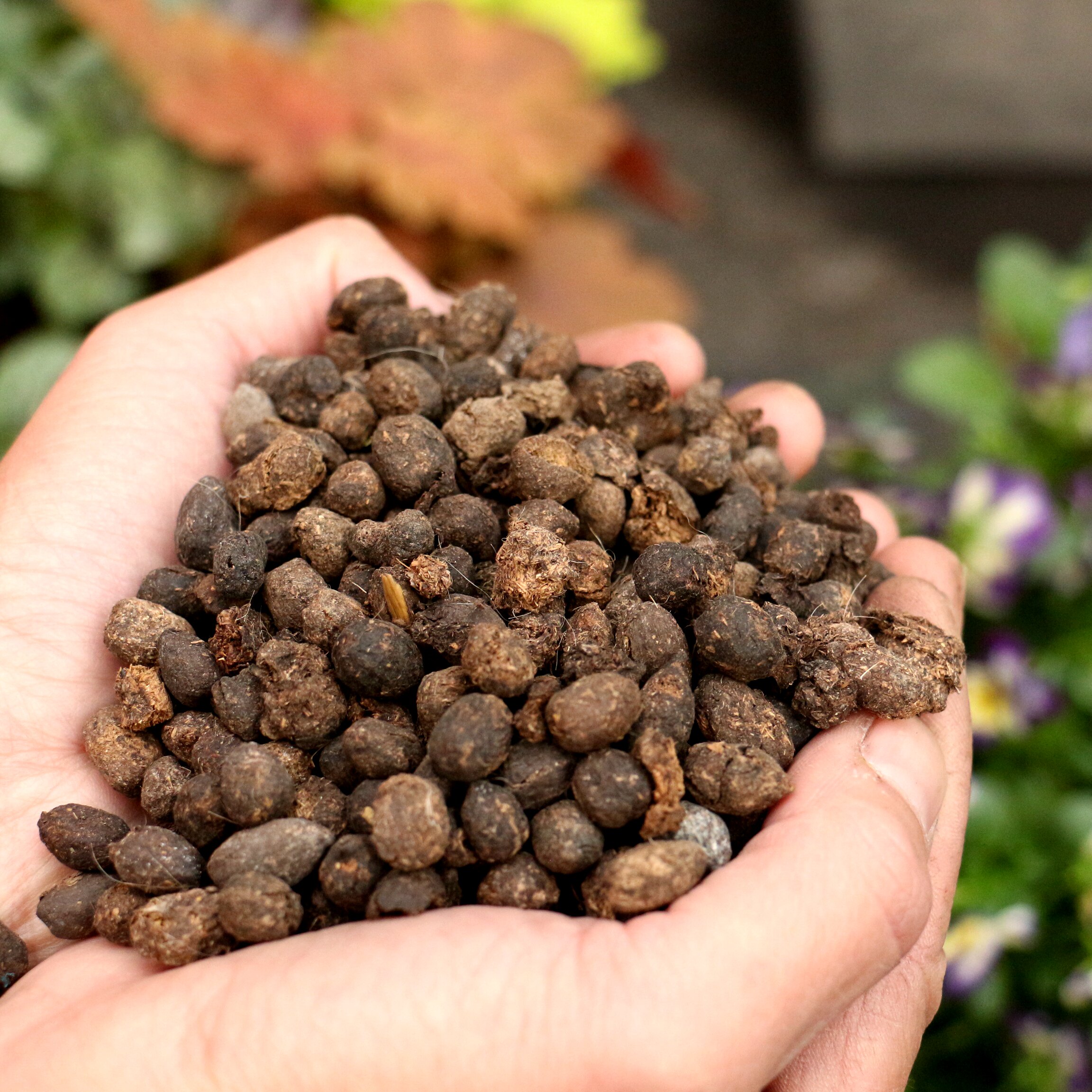 种花王大爷 有机肥料 天然发酵羊粪肥 可做追肥 基肥用无异味