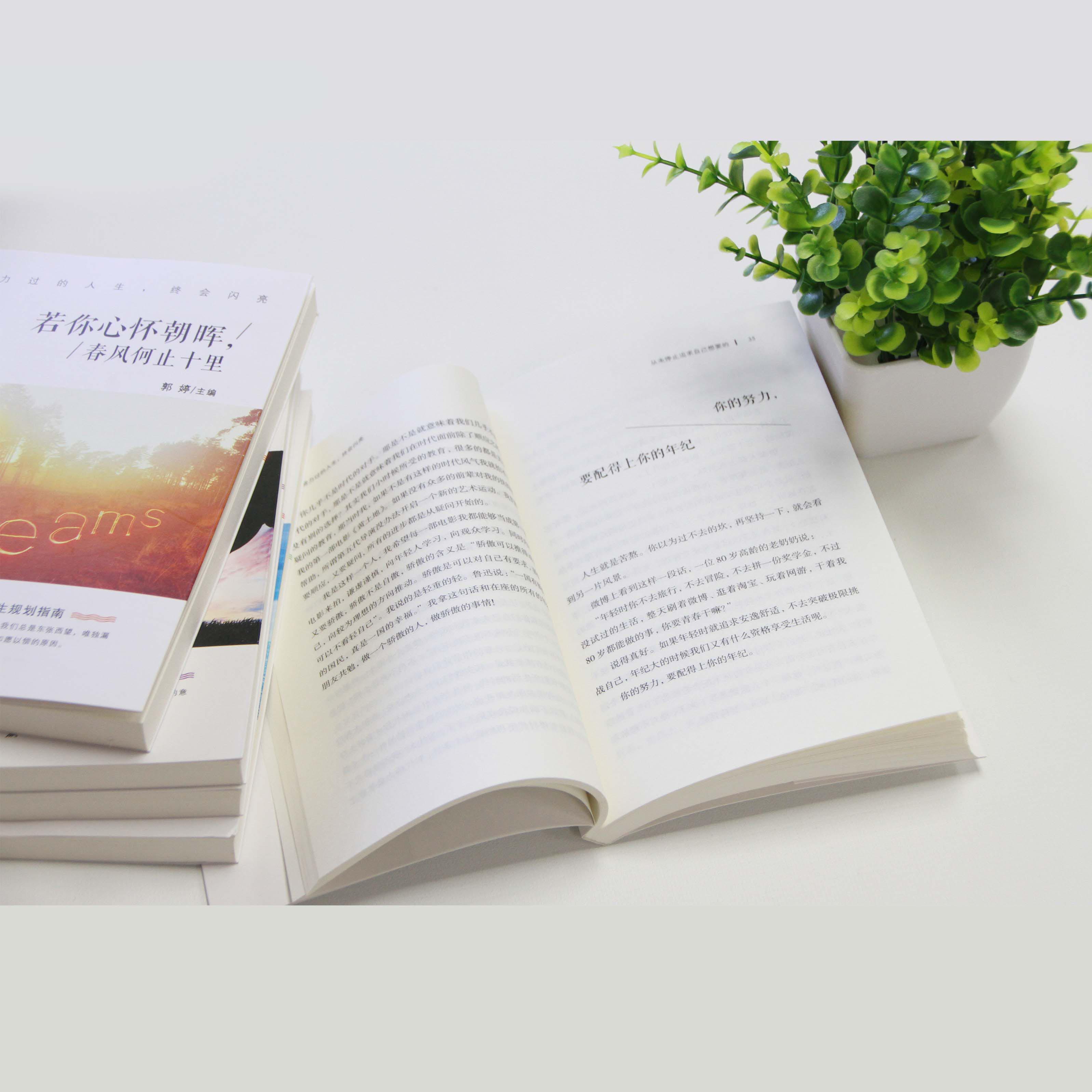 努力畅销书书籍励志文学小说青春追求停止从未好的励志