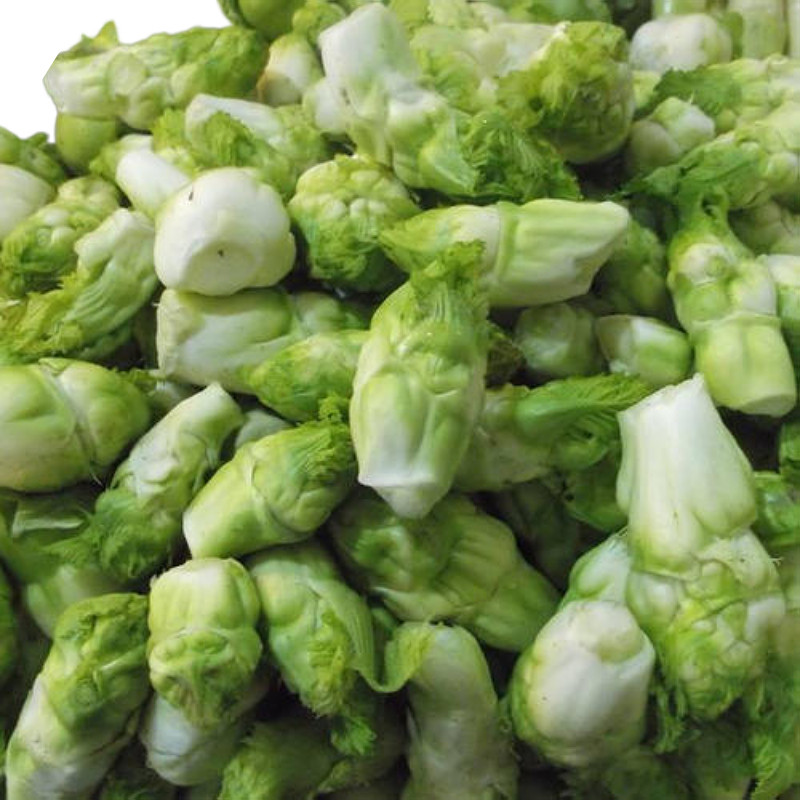 蔬菜四川新鲜娃娃小儿芥菜抱儿菜蔬泡菜当季其它