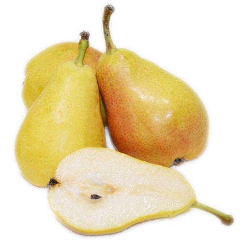 新鲜烟台太婆水果梨子包邮10斤整箱时令应当梨