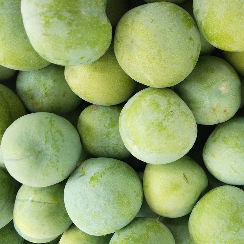 李子新鲜贵州特产清脆脱骨包邮现摘现发水果整箱李子