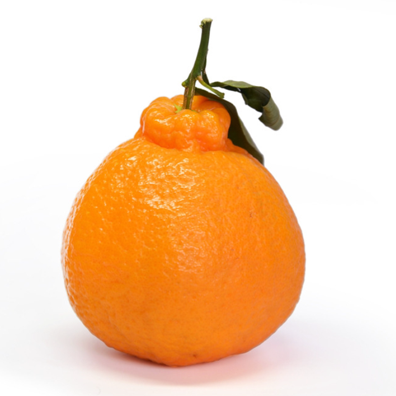 四川丑橘新鲜水果当季整箱应季大橘子丑桔丑柑耙耙柑包邮10斤