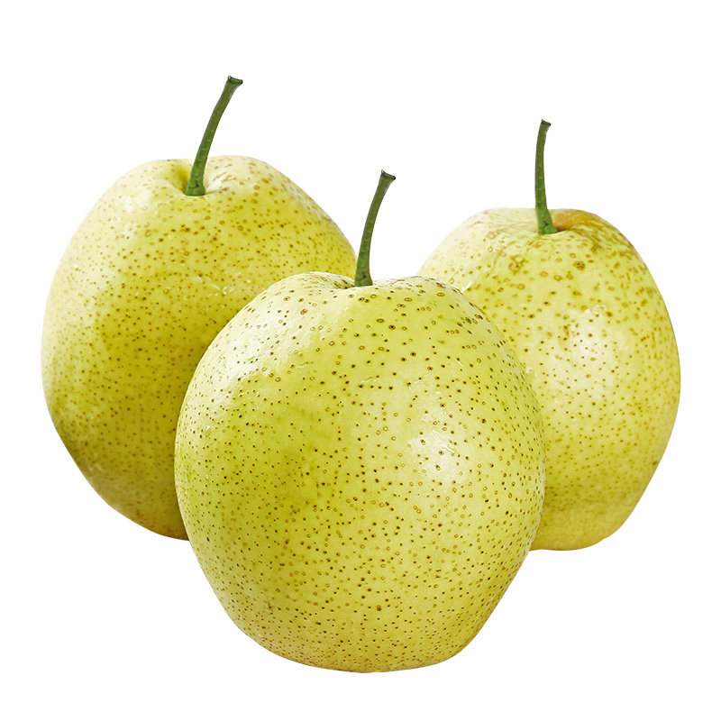 河北雪花梨新鲜水果梨子整箱10斤冰糖雪梨应当季时令新鲜脆甜梨子