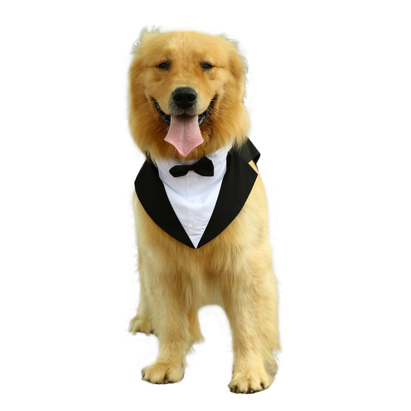 狗狗宠物衣服领结西装金毛拉布拉多哈士奇中大型结婚宠物服装