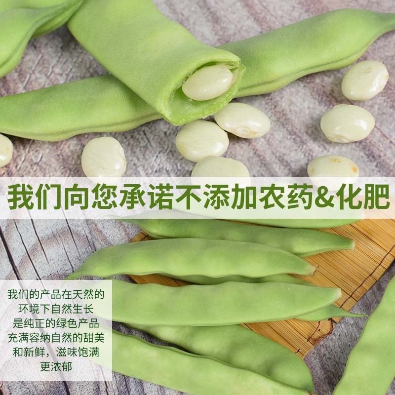 东北黑龙江农家新鲜现摘开锅烂排骨炖面后弯腰油豆角2斤