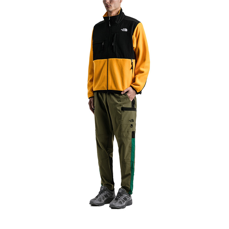 tnf北面美版1995retrodenalijacket抓绒夹克潮牌抓绒衣