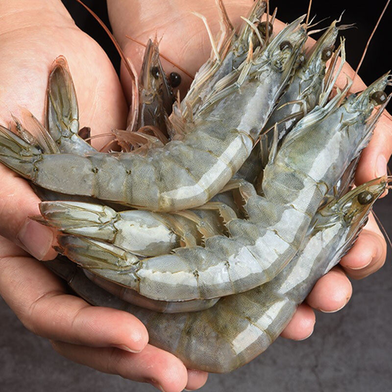 青岛超大鲜活大虾净1400g