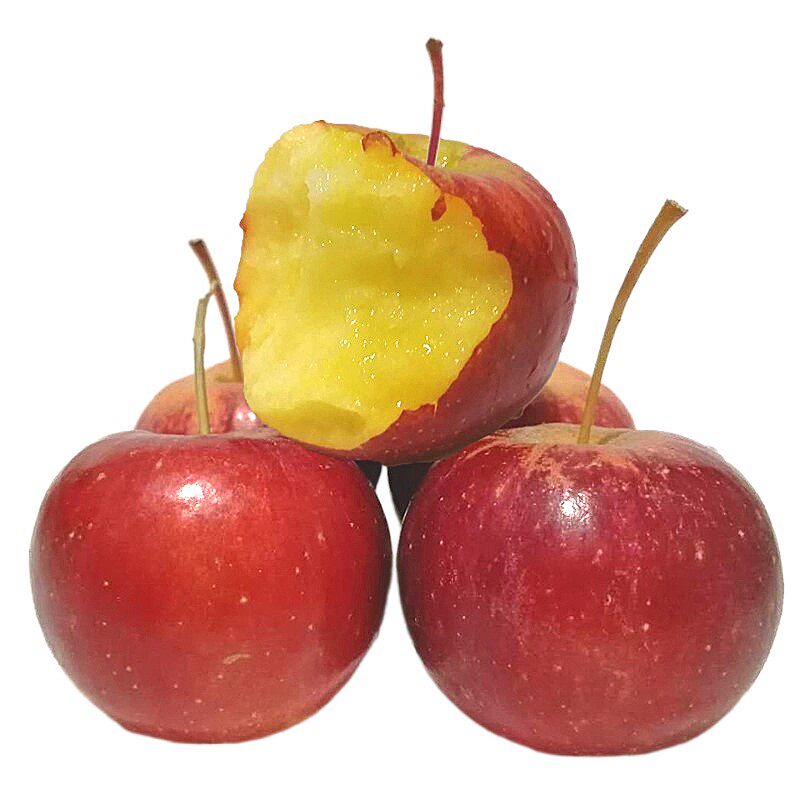 东北黄太平孕妇酸甜太平秋果沙果现摘应季包邮当苹果