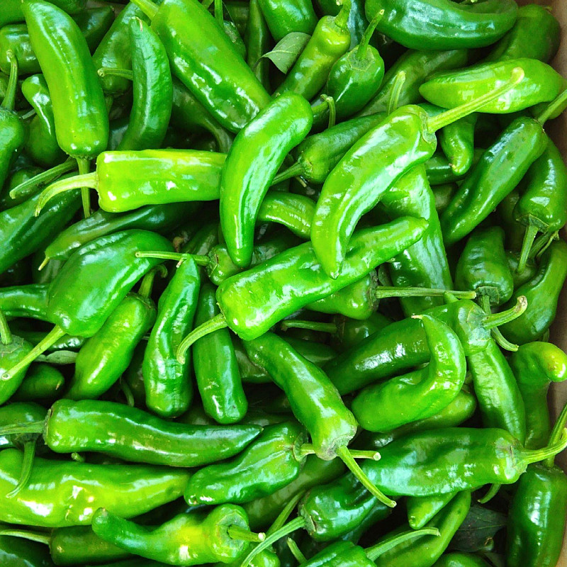 东北辣妹子小辣椒新鲜5斤包邮农家蘸酱蔬菜小青椒辣椒