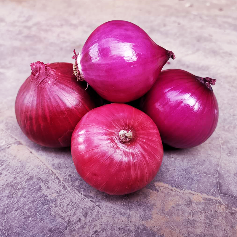 洋葱云南紫皮新鲜10斤农家自种蔬菜洋葱头红皮葱类