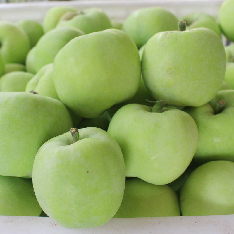 2020现摘青苹果酸甜脆苹果嘎啦绿苹果孕妇水果5斤包邮产地直发