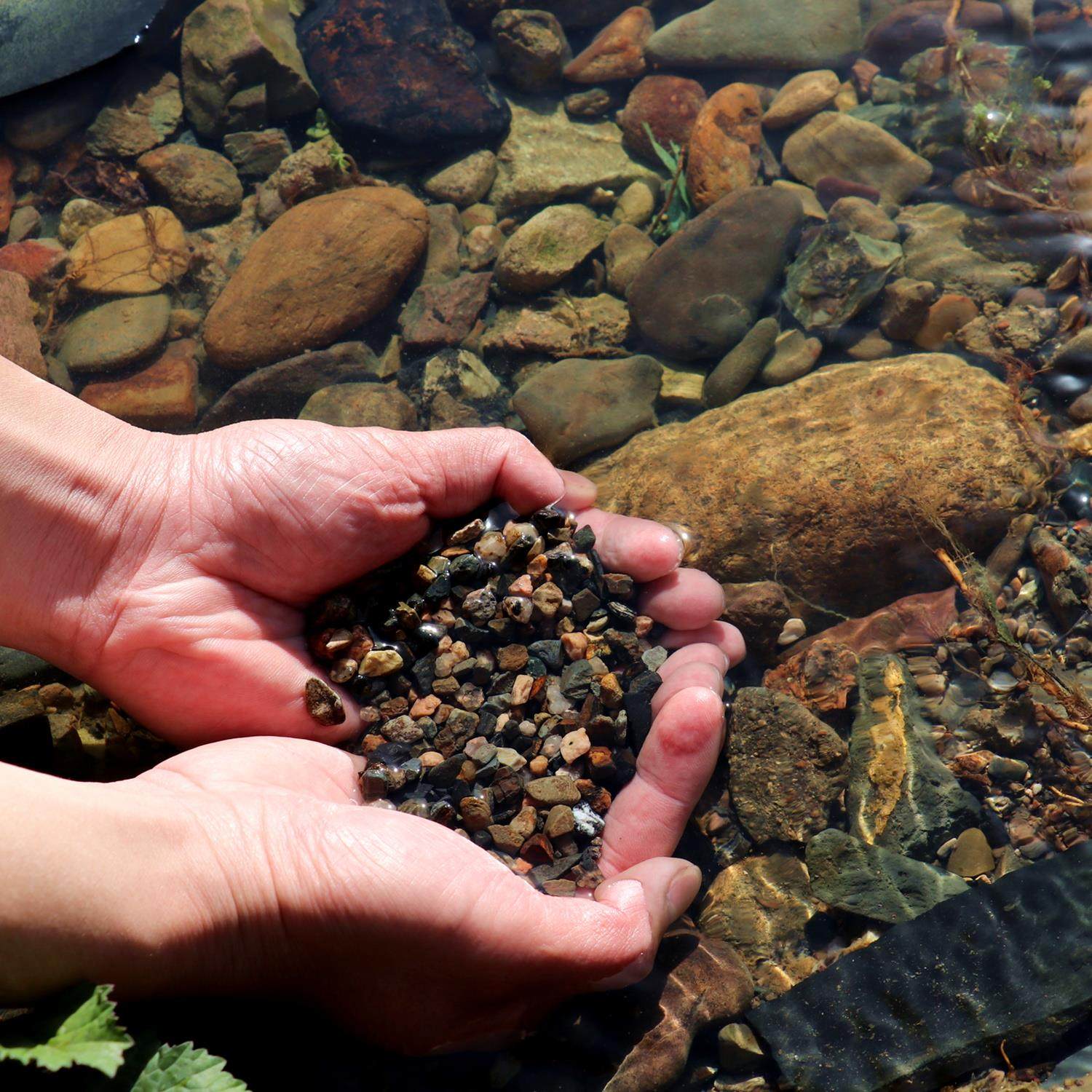 溪流天然流沙鱼缸造景底砂大矶沙溪石草缸雨林造景