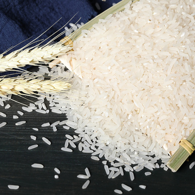 稻花香龙稻尚品五常2号非长粒粳米进口籼米大米