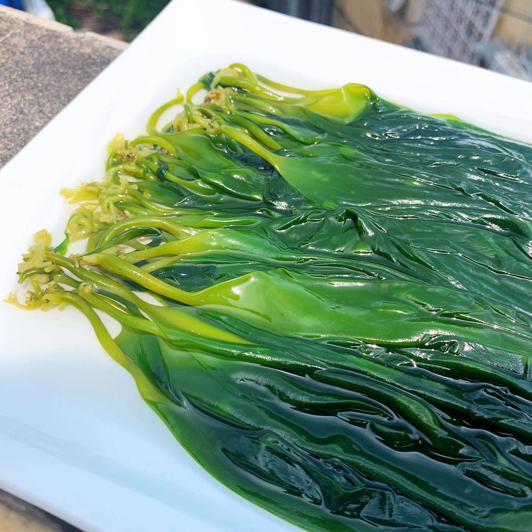 霞浦海带嫩苗嫩芽小海带苗新鲜叶芽5斤火锅凉拌食材烫三秒