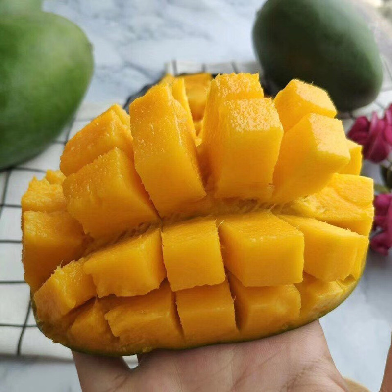 芒果南大青皮澳芒当季新鲜水果整箱芒果