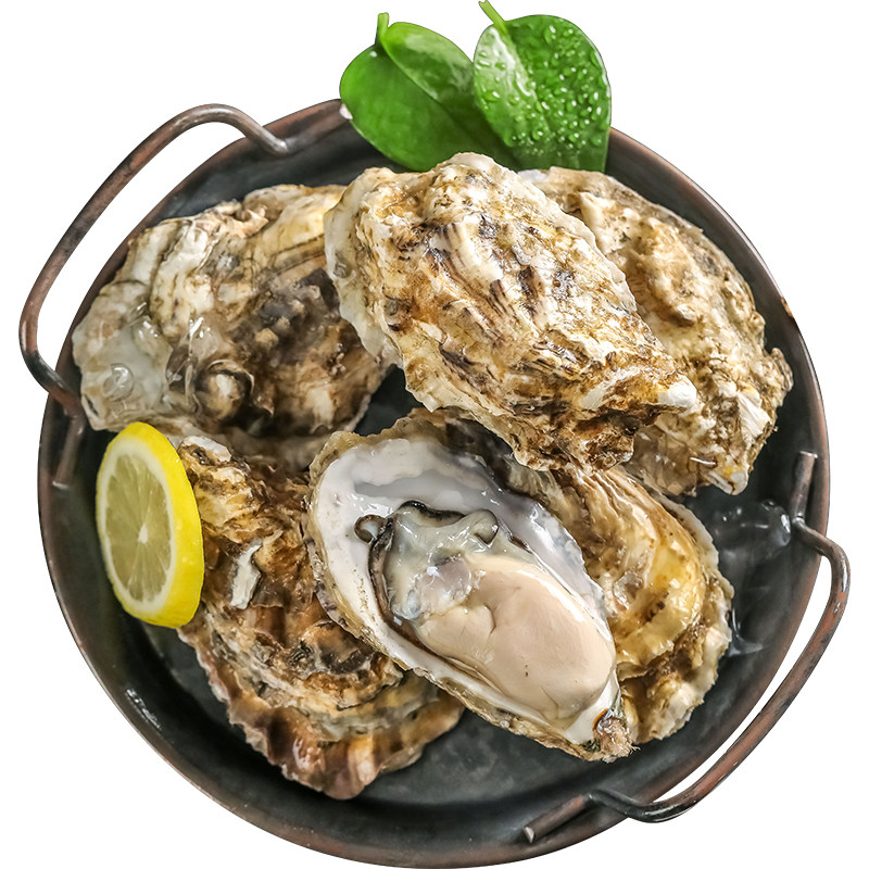 新鲜带壳生鲜活超大牡蛎海深海海鲜水产5斤烧烤生蚝