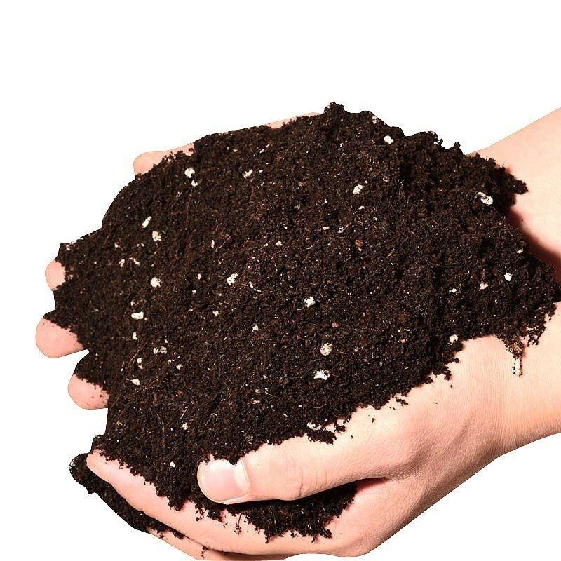 阳台田园种菜土家庭种植土蔬菜土种花盆载育苗营养土有机肥羊粪土